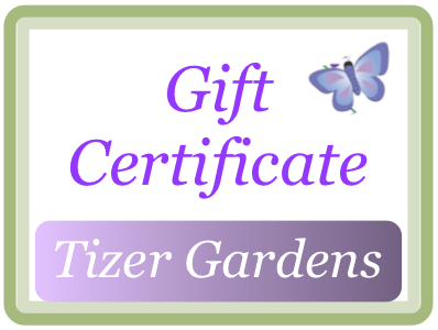 Tizer Gardens Gift Certificates